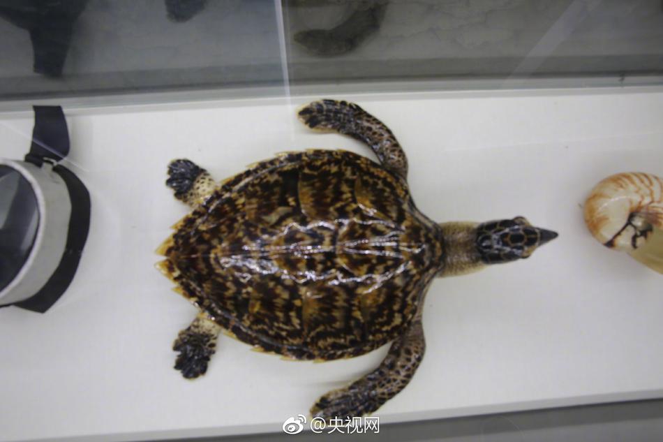 男闺蜜