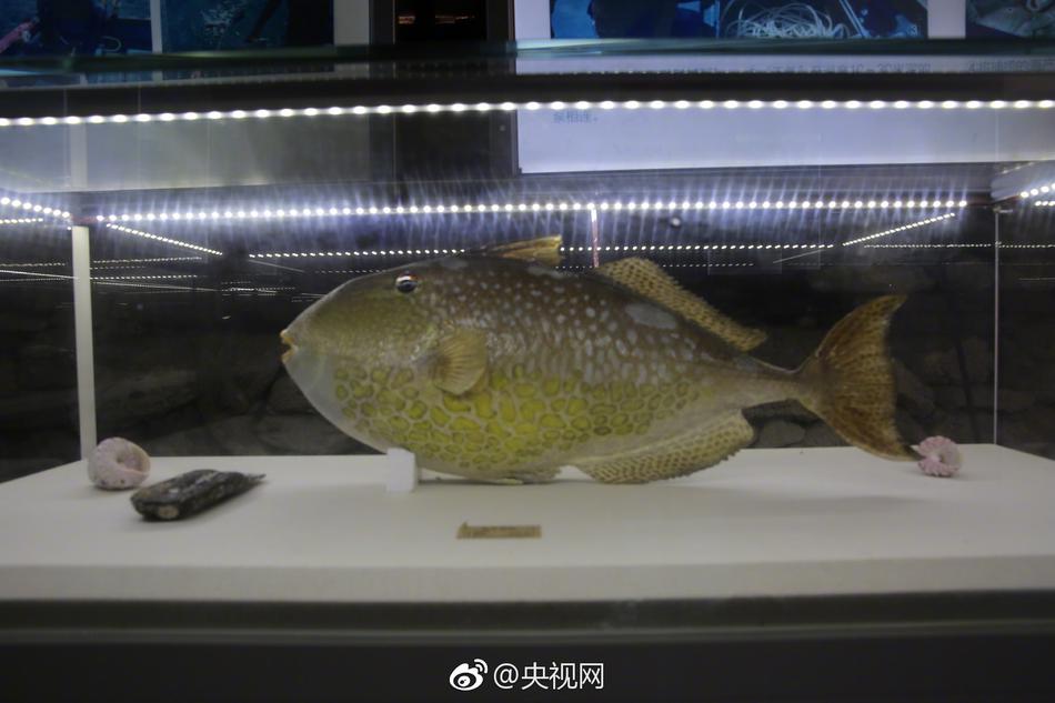 欧美毛片