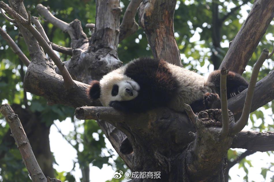台灣更衣室