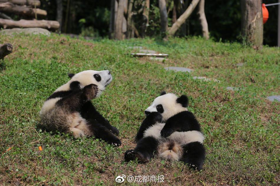 吉沢明歩無修正流出