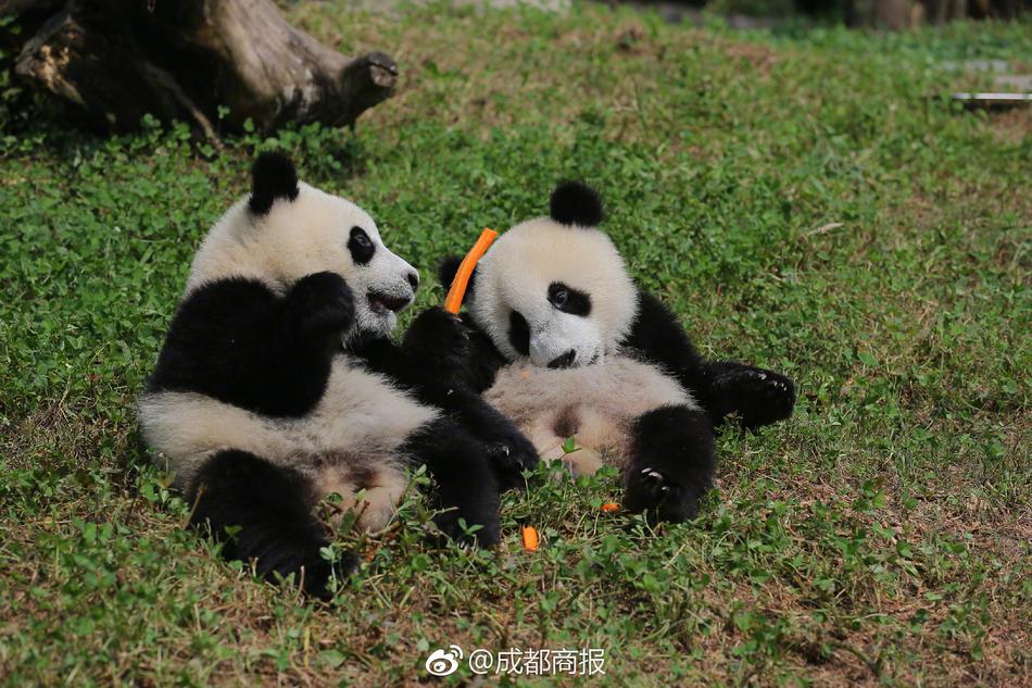 性爱无码20P