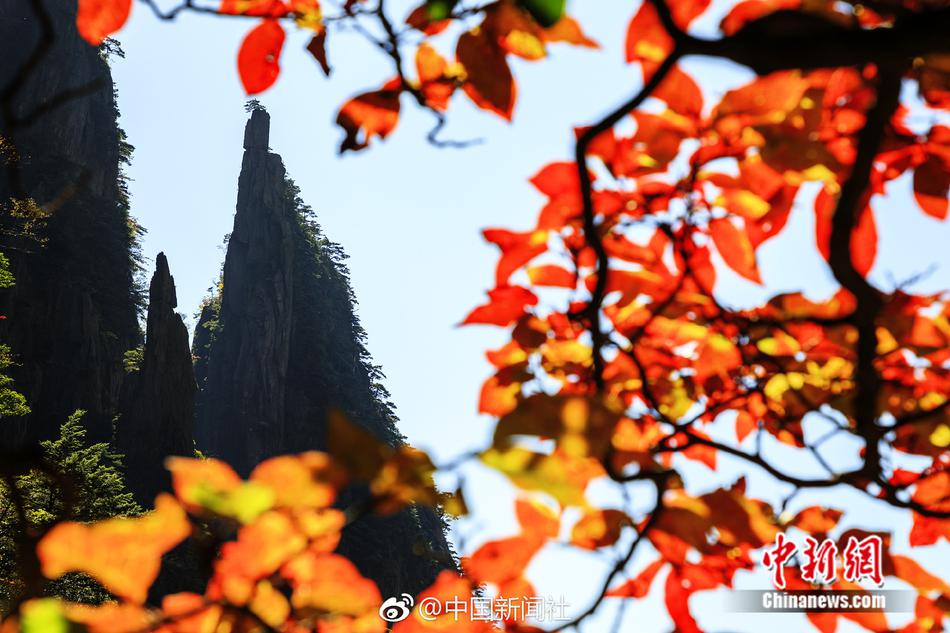 同 城 约会