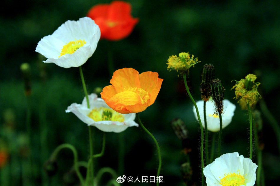 偷偷自慰的韩国三级
