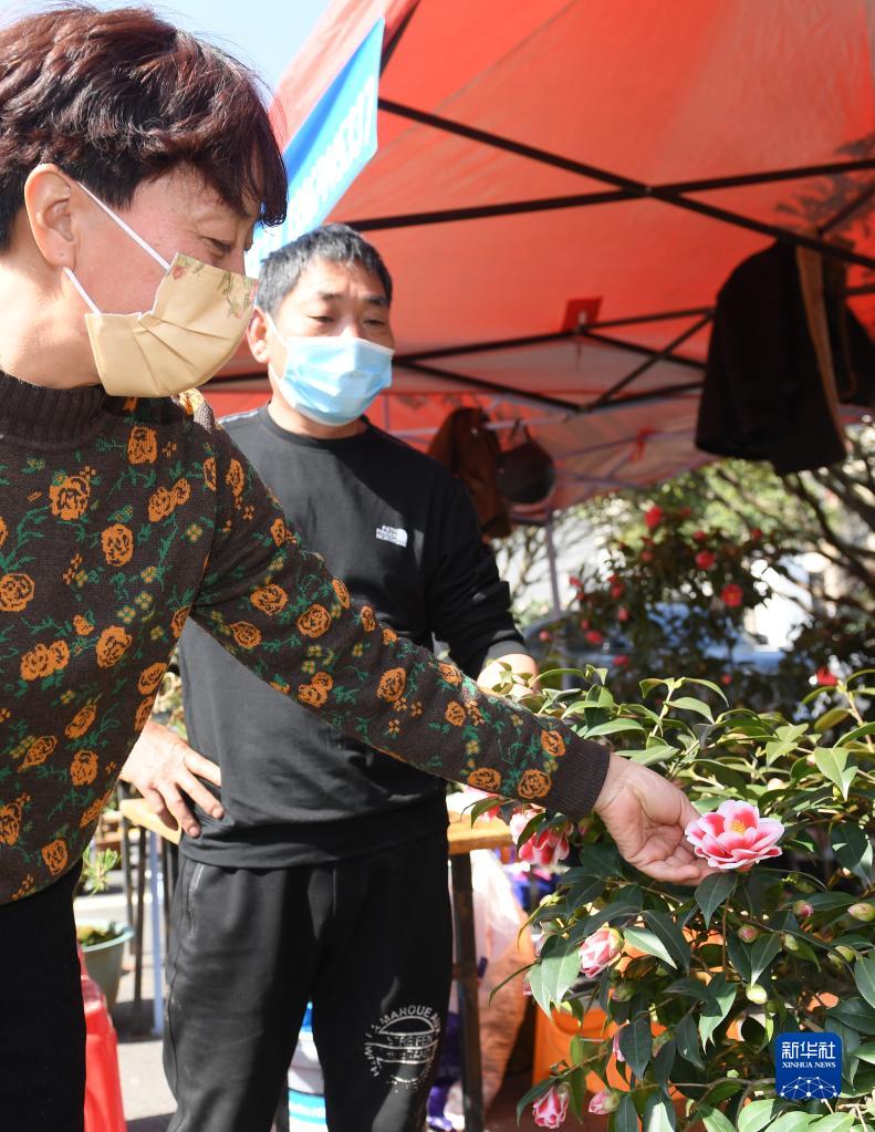 欧美熟妇大乱交X