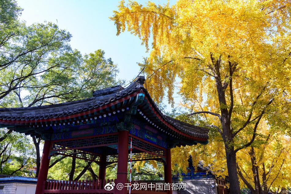 欧美人与兽操母马