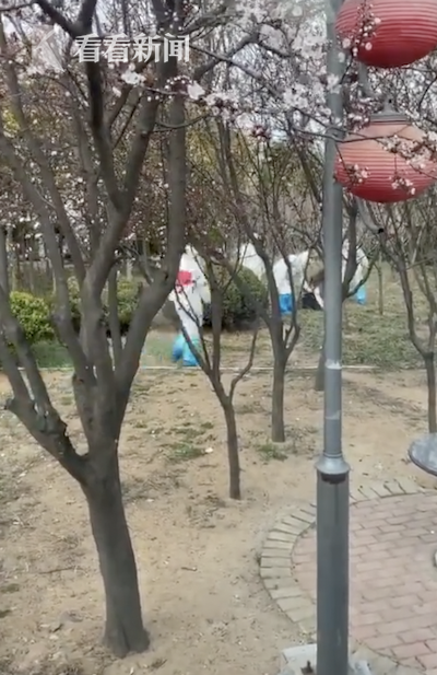 老太Videodes性爽Hd