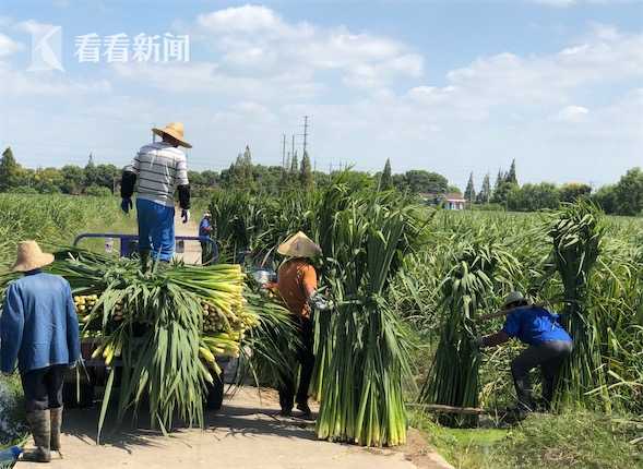 俄罗斯熟妇乱伦