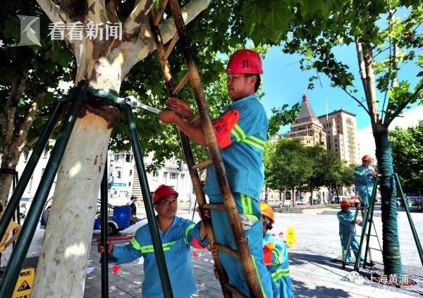 成人 免费 电影 网站