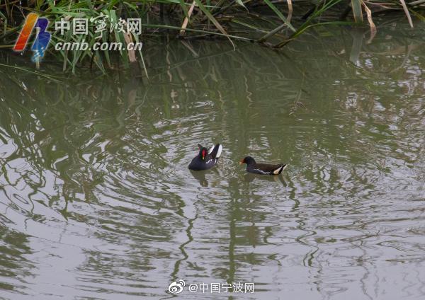 91丨推特丨白浆秘