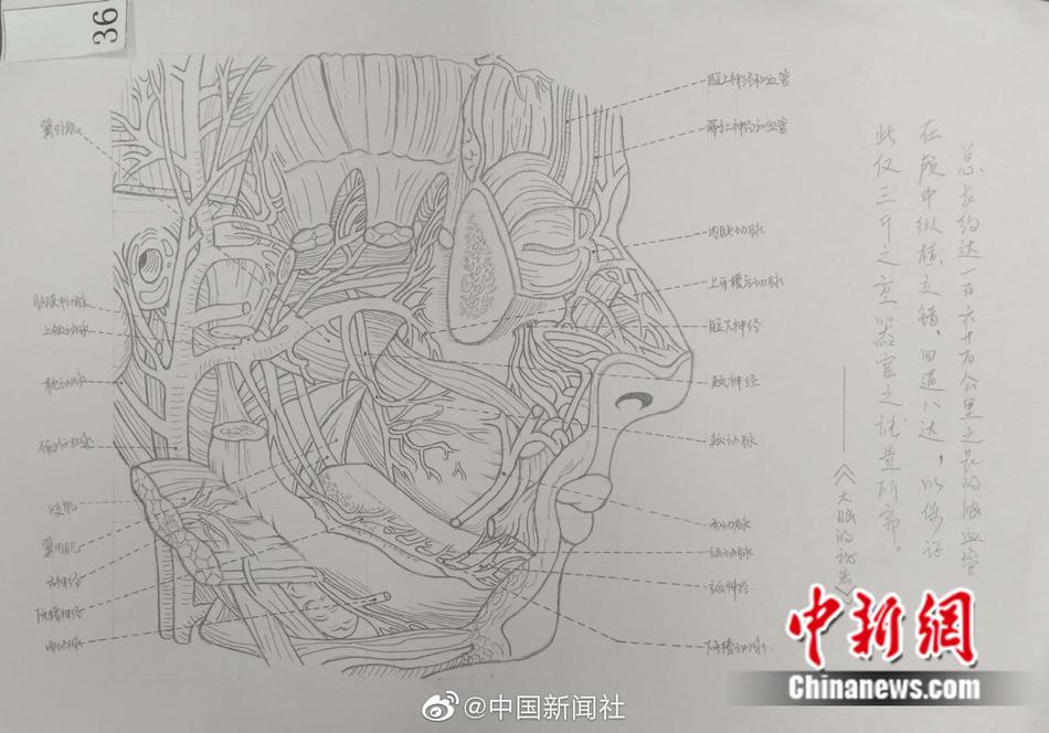 91PORN成人最新网站