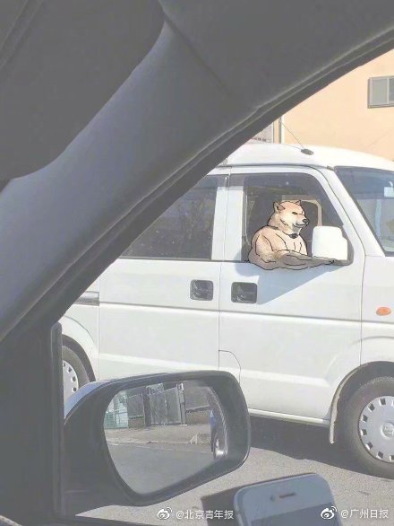 日韩三级影视