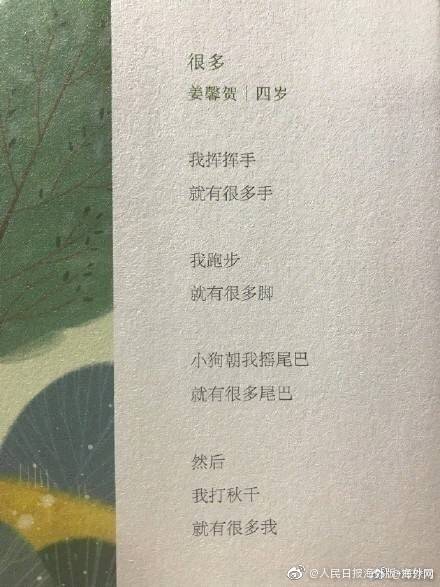 李雅拍的小电影