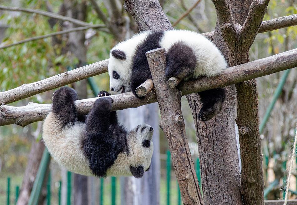 www.天天干