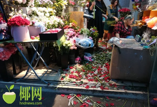 兄妹蕉谈林予曦
