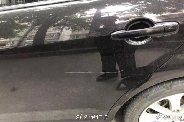 首爾大學校花