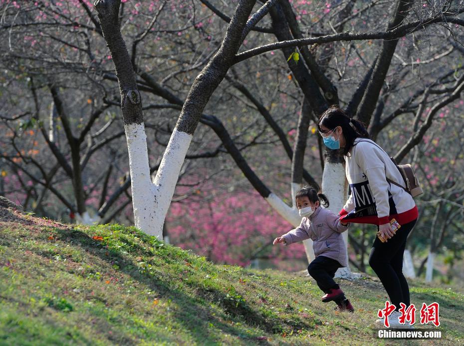 女人脱精光直播APP下载合集