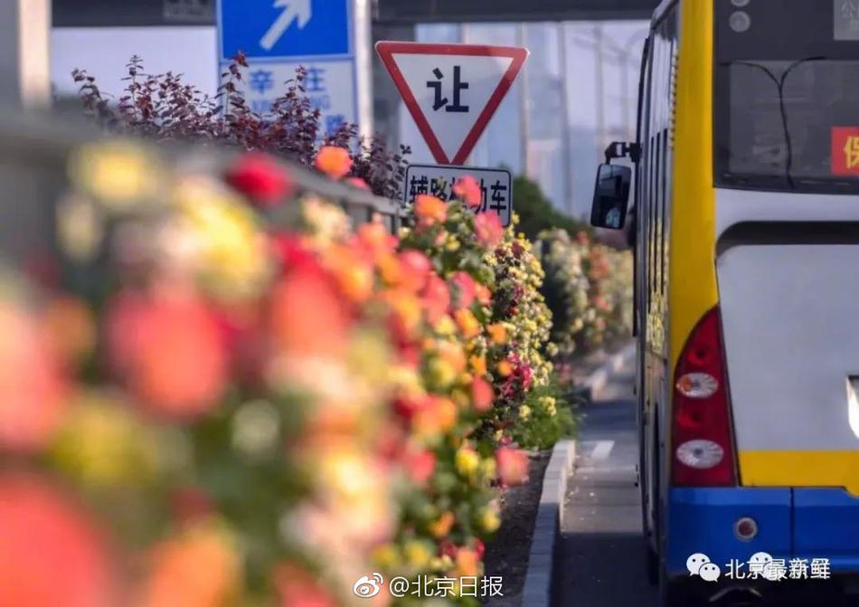 公交上强摁做开腿呻吟
