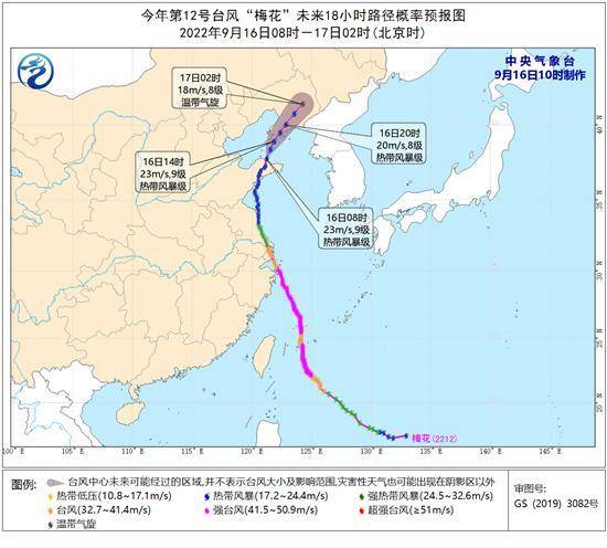 青春版玫瑰之战：我们的依法时光