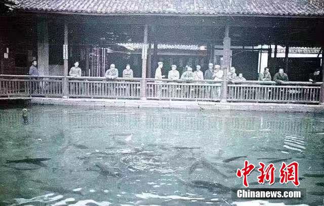 中国台湾的黄色电影
