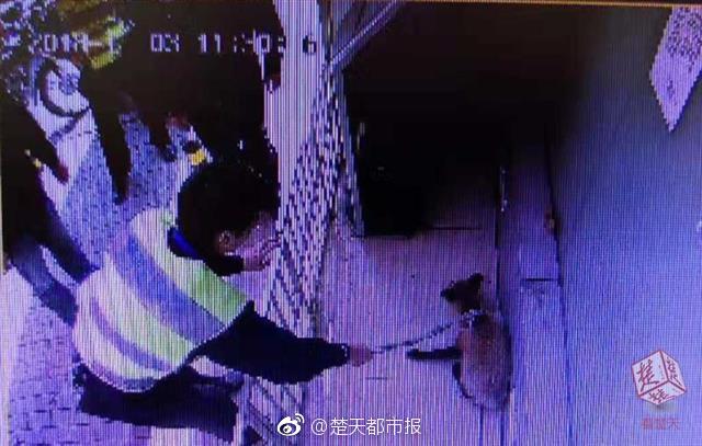 国产乱伦视频