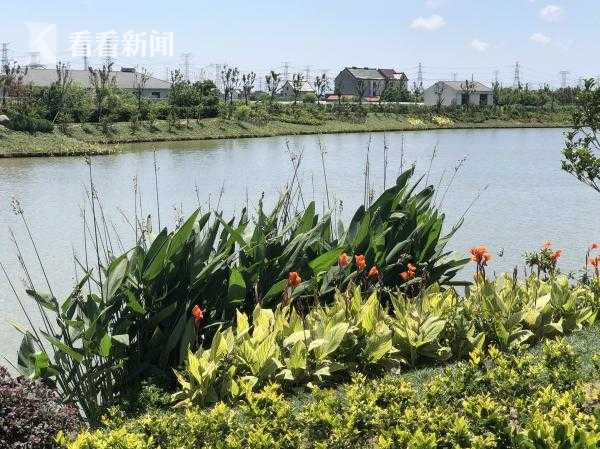 免费黄色下载视频