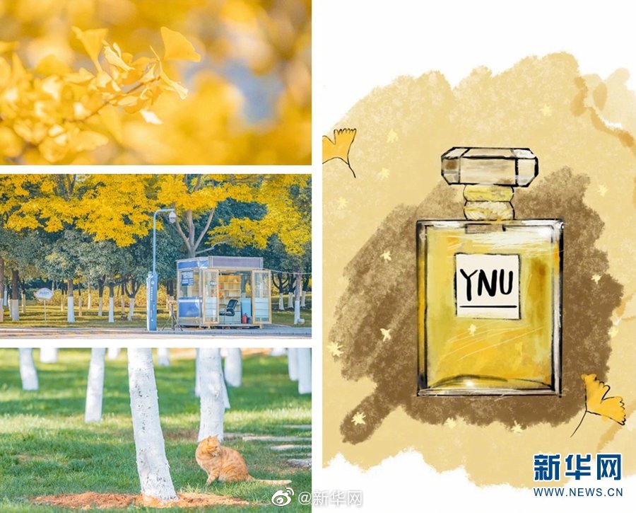 张柏芝裸体潘琳琳裸体