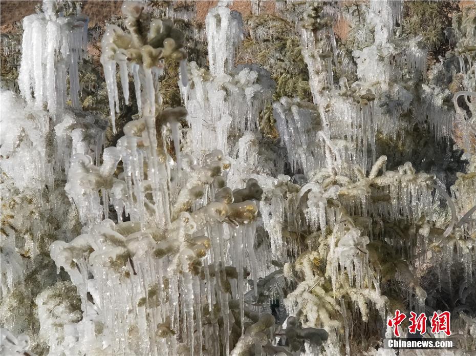 国产视频无码