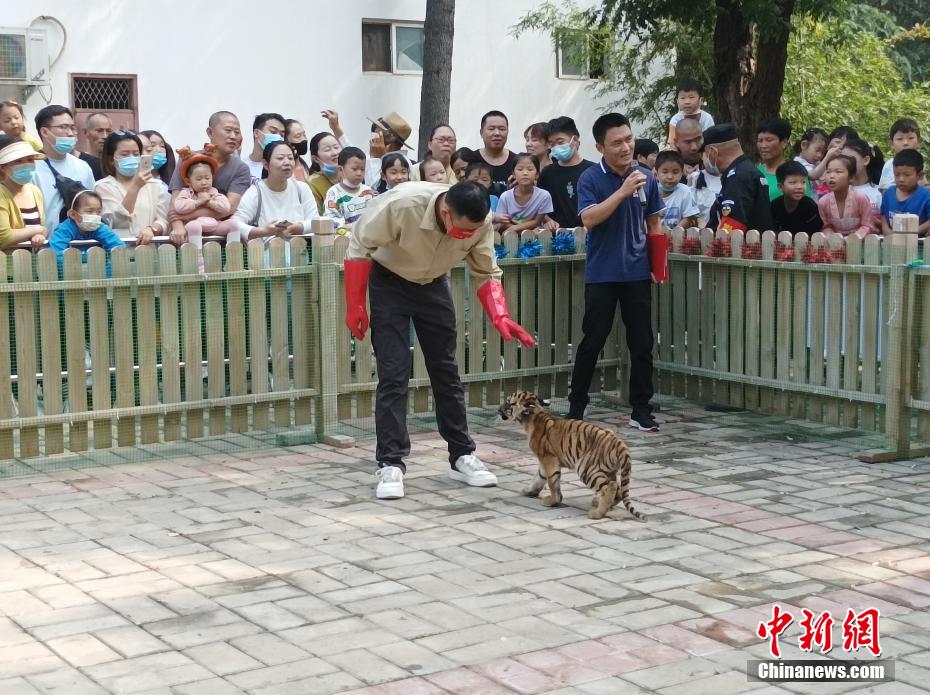 肥妞操