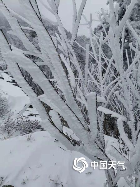 久久区