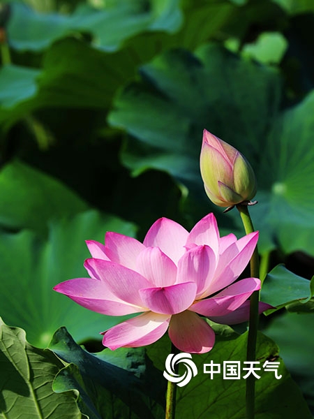 久久机热