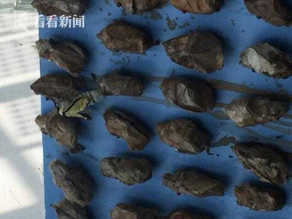 Chinese摄像头偷拍Hd