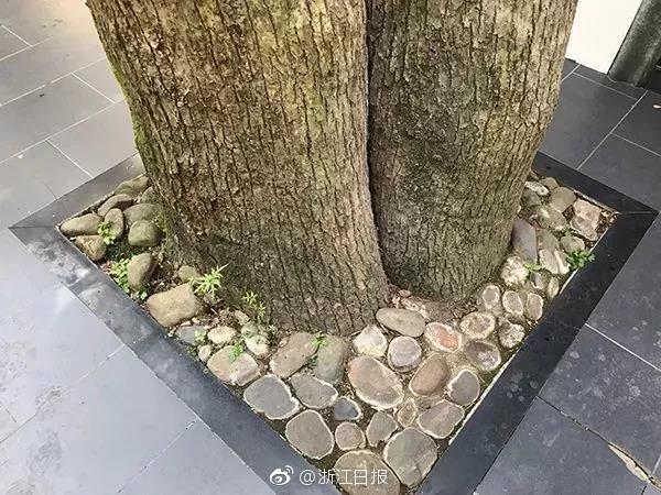 国产古装一级毛片