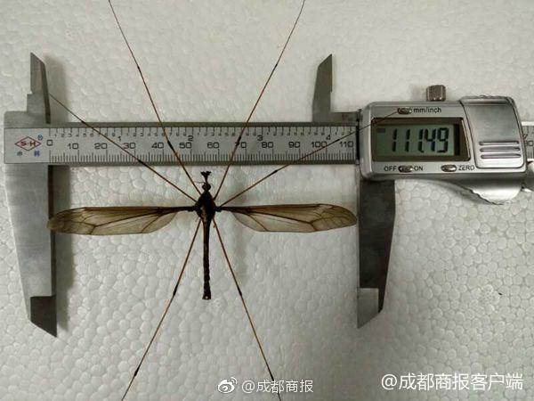 自拍偷拍Av一区二区