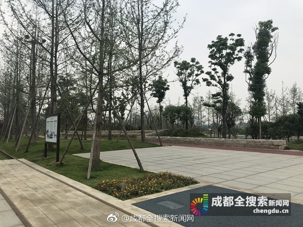 老师 好紧 蕾丝内裤动陈可一