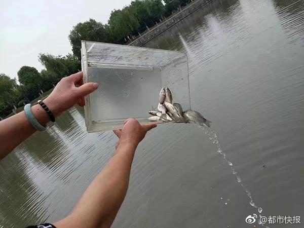 欧美性做爰免费A片