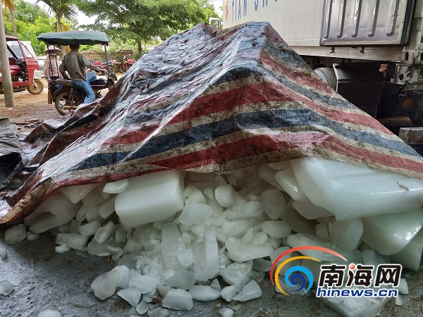 大陰唇毛茸茸黑森林