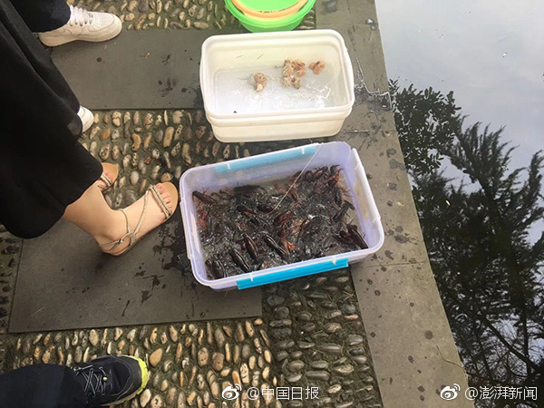 吳仁惠