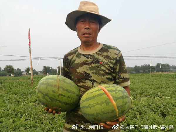 国产黄色小视频