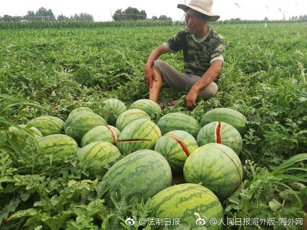 妈咪手是什么梗exo