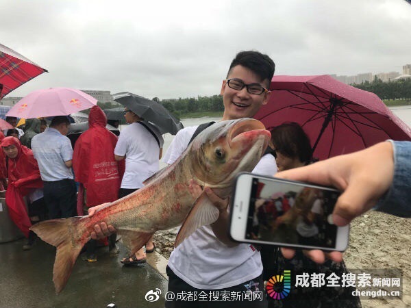 女生的逼
