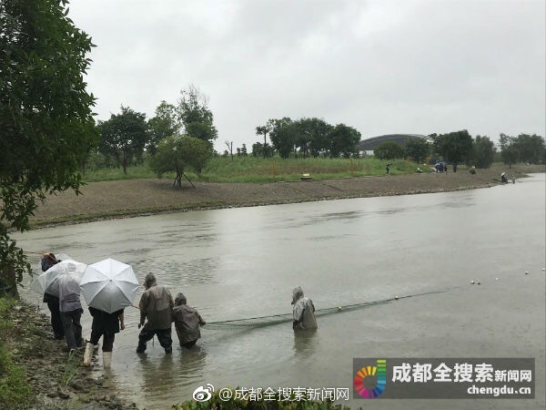 A毛片