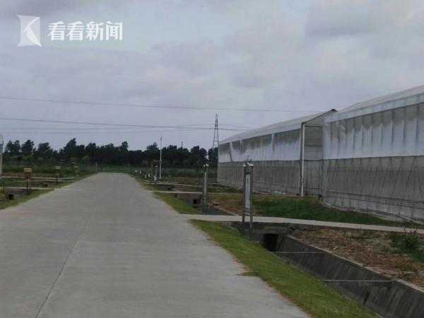 扒开老师 狂揉 911
