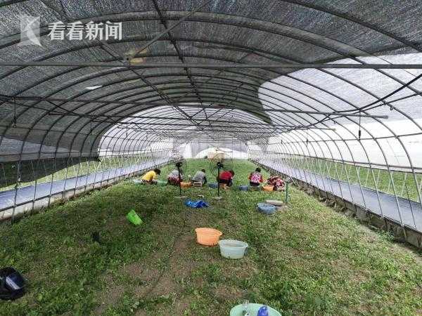 杨依销魂人体极品150p