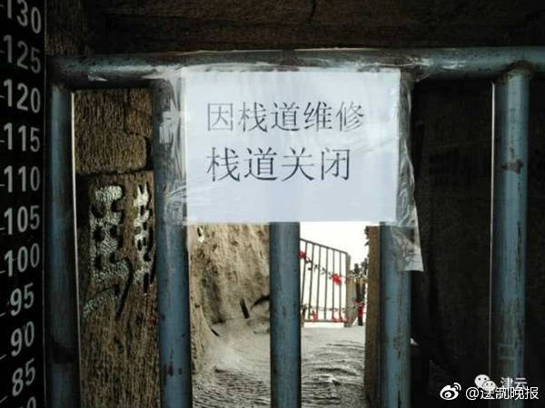 午夜精品无码