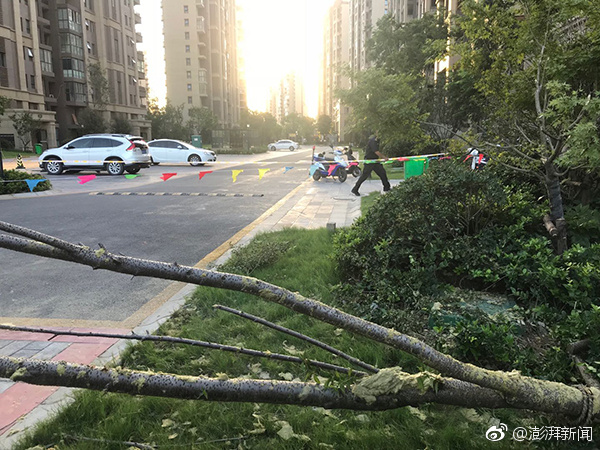 黄X色X网站