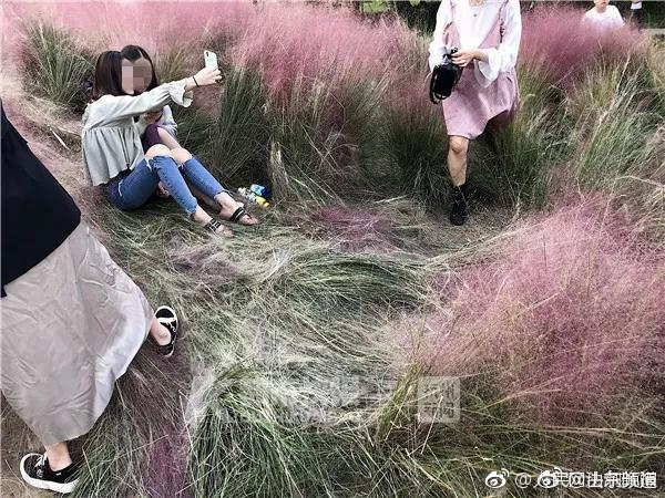 美女裸体直播免费魅影直播