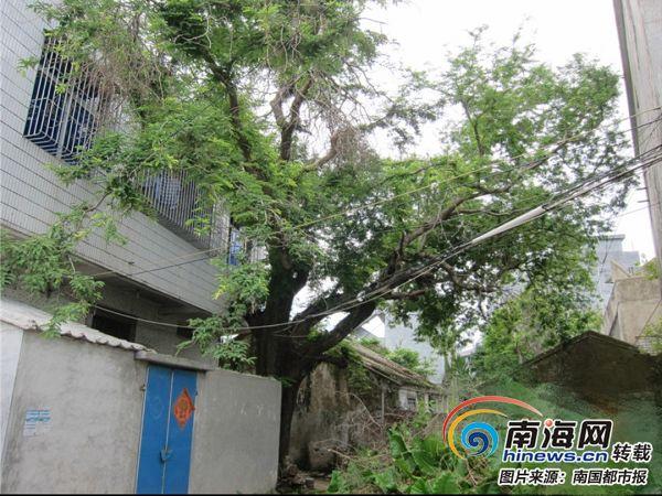 亚洲小电影