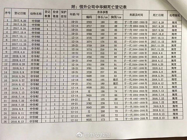 元元直播洗澡