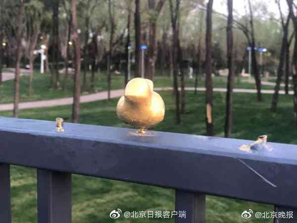 欧美高清私处特写
