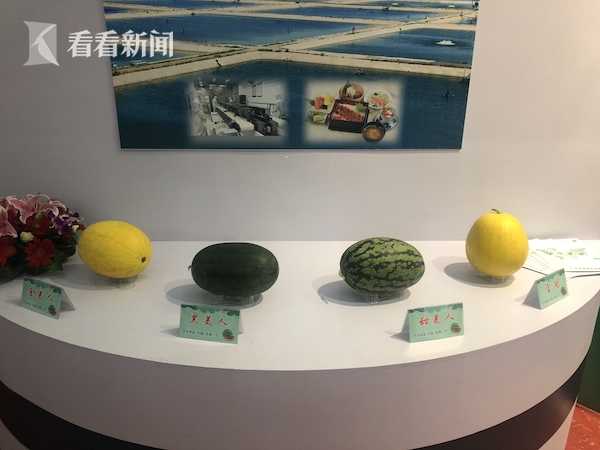 可愛港女口交